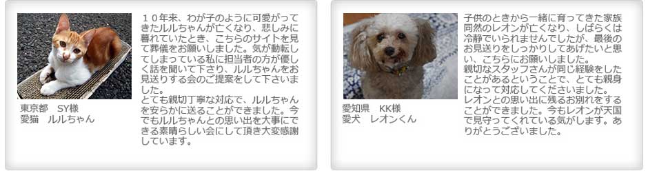 親切丁寧な対応